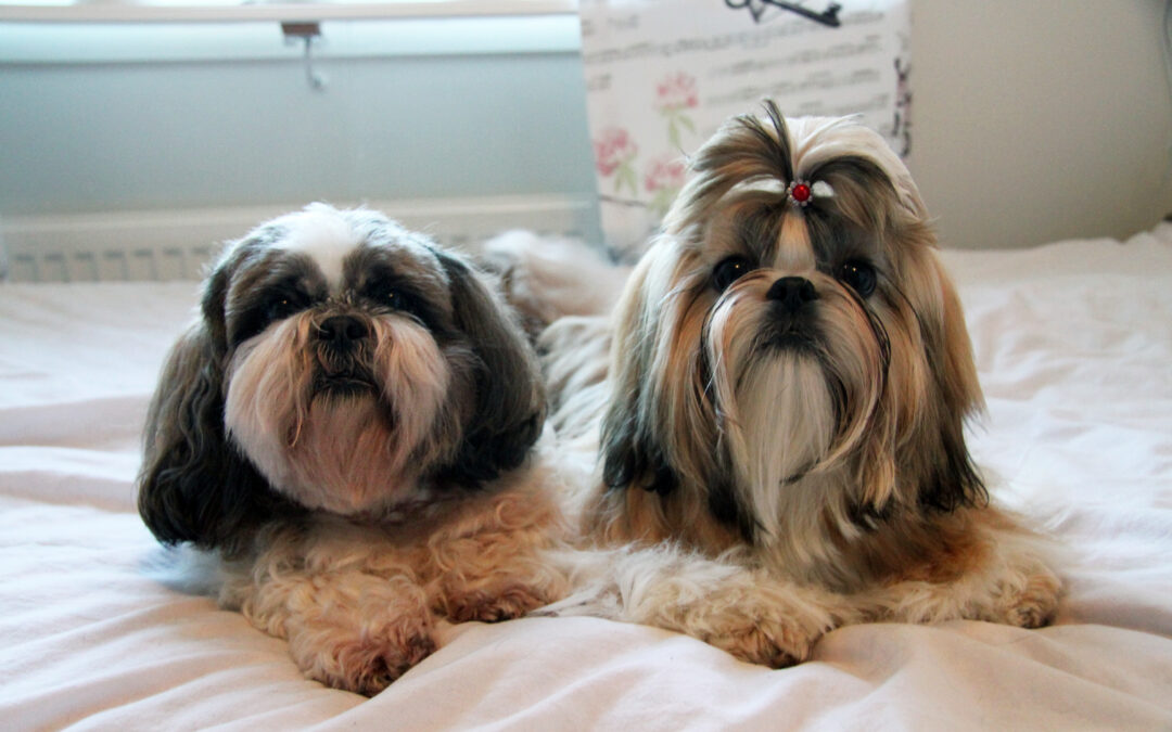 God jul & gott nytt år