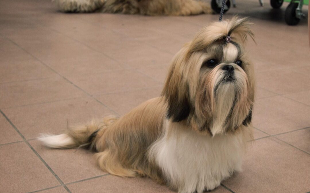 Utställning i Strängnäs