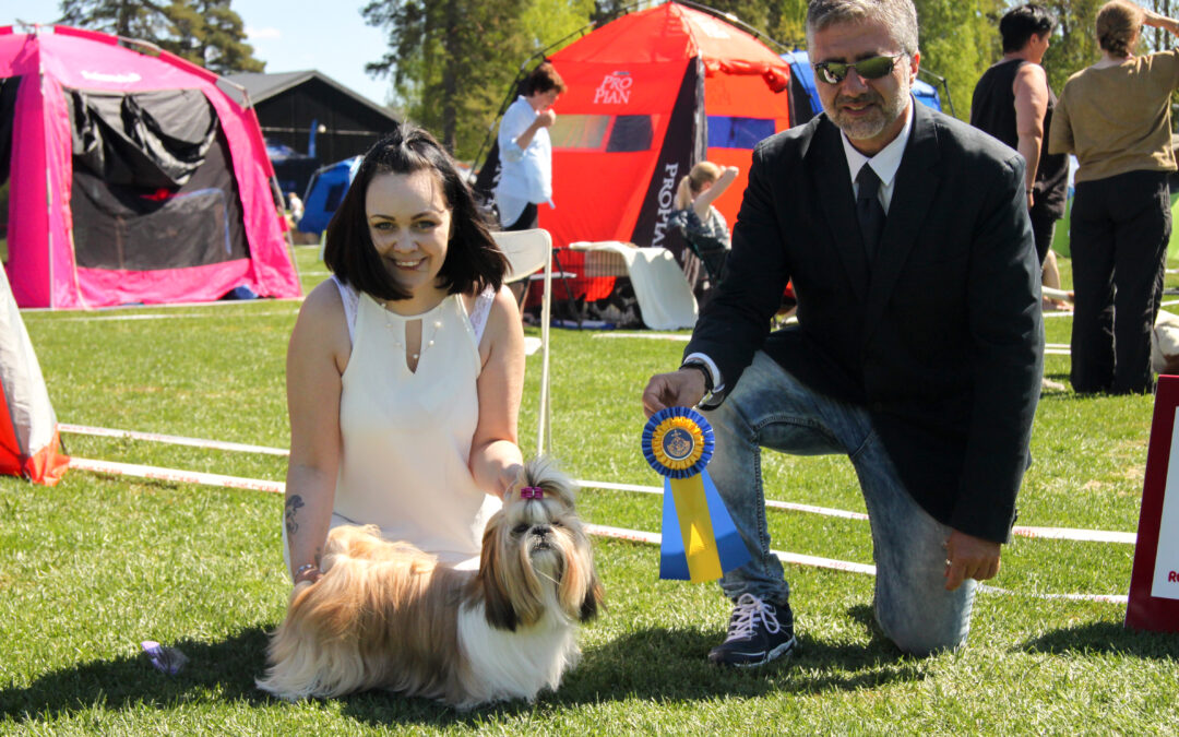 Utställning Gimo 27/5