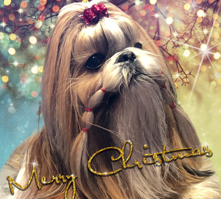 God jul & gott nytt år!