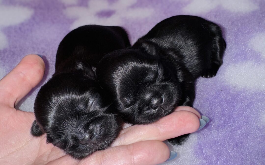 Välkommen till världen!